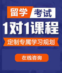 操死了逼逼留学考试一对一精品课